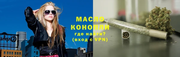 тгк Абаза