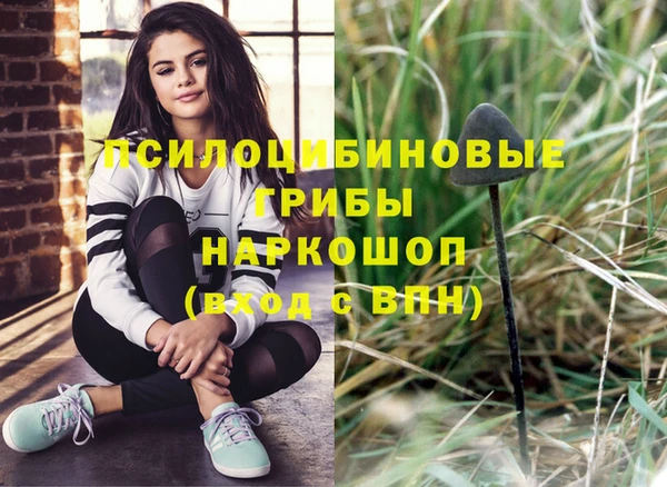 прущие грибы Мегион